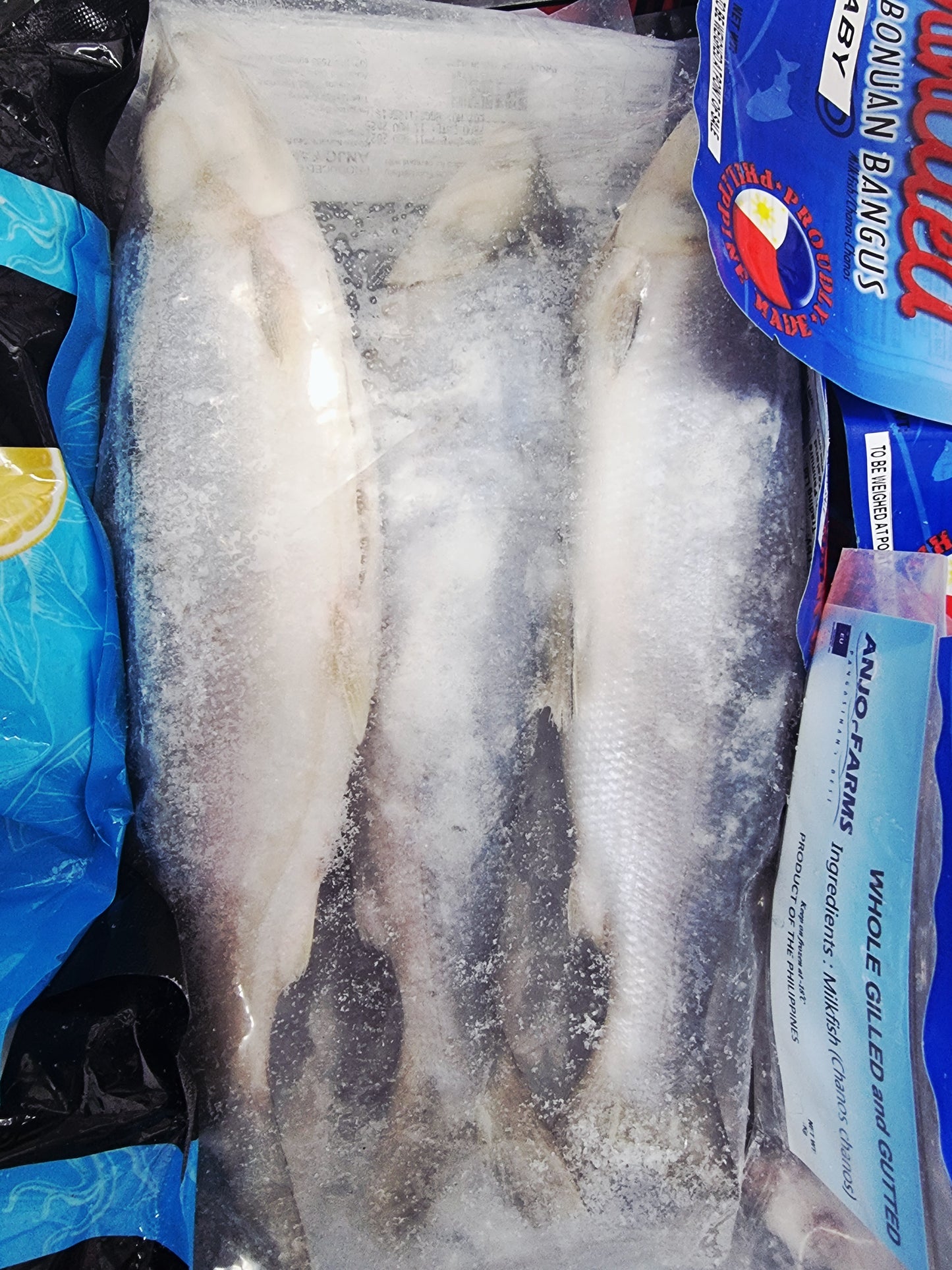 Anjo Farms Milkfish Whole Gilled & Gutted 1kg (2-3pcs)