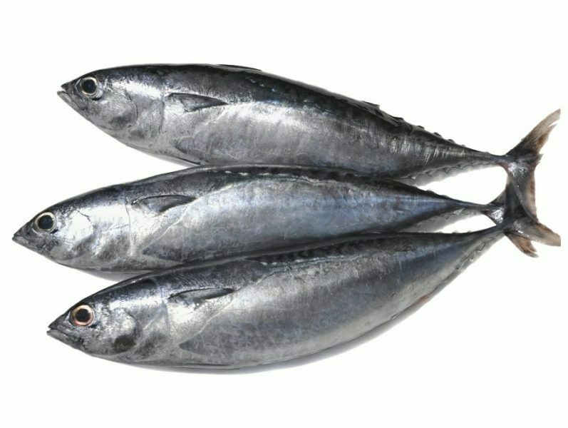 Frozen Tulingan Fish (Bullet Tuna) 1kg