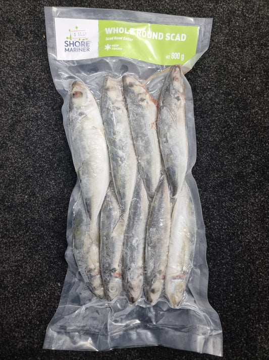 Shore Mariner Fish Round Scad 800g
